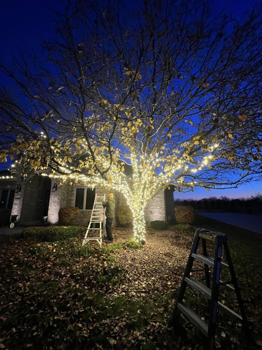 outdoor Christmas lighting installation in Kenosha, Christmas light installation services in Kenosha, Christmas light takedown service in Kenosha