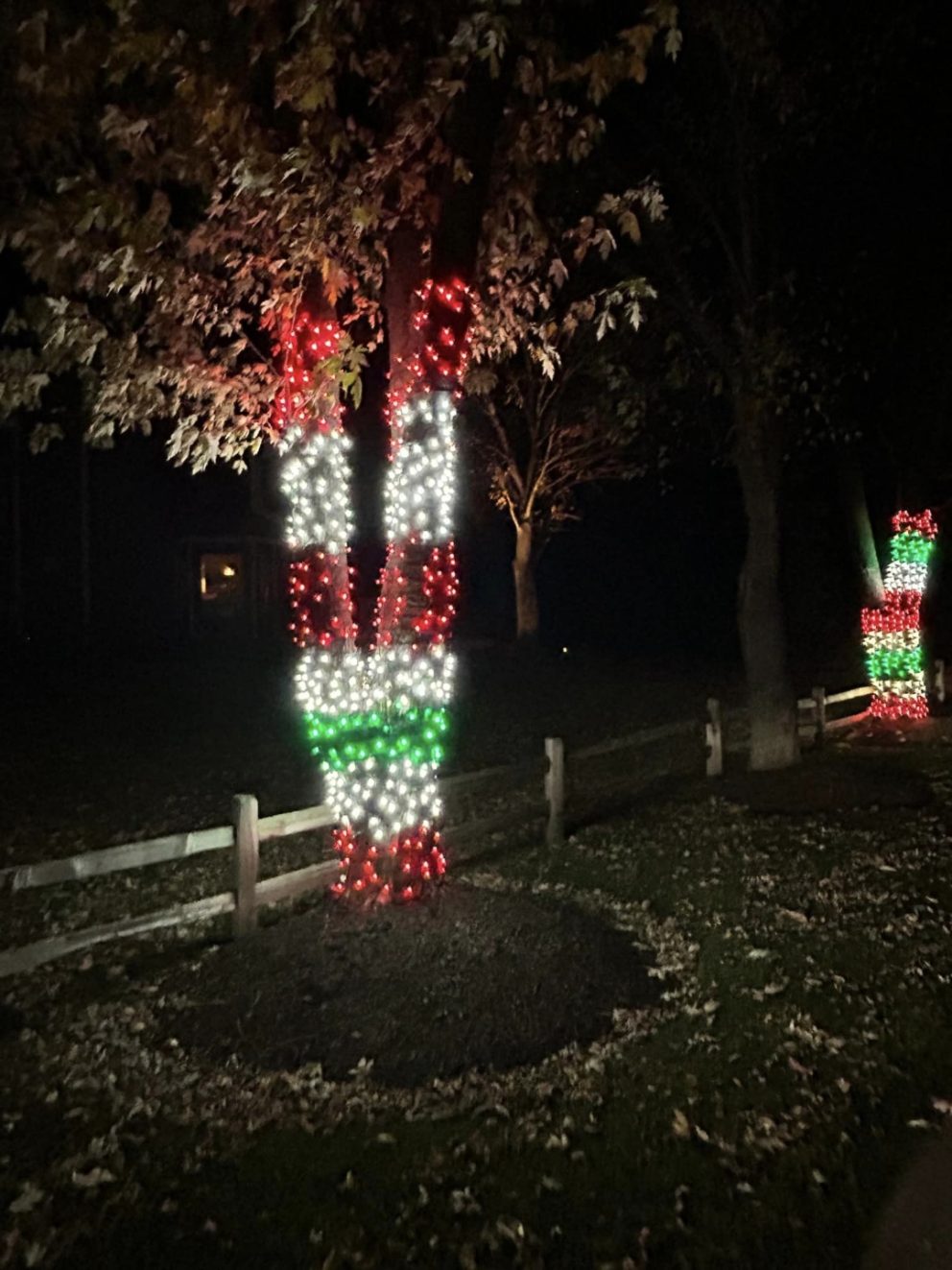 outdoor Christmas lighting installation in Kenosha, Christmas light installation services in Kenosha, Christmas light takedown service in Kenosha