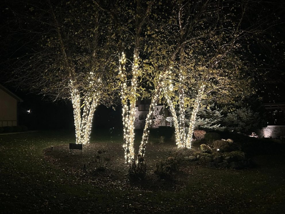 outdoor Christmas lighting installation in Kenosha, Christmas light installation services in Kenosha, Christmas light takedown service in Kenosha